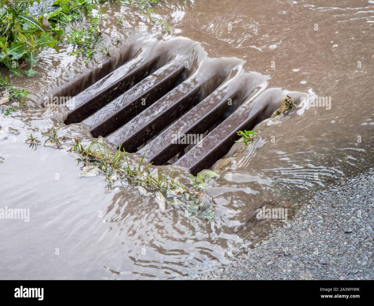 Camera gully